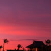 Tropical beachfront with palm trees and thatched huts at sunset under a vivid pink sky in a fine art coastal lifestyle photograph.
