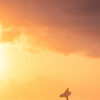Sunset surf photography showing a surfer walking along the shoreline beneath a moody yet golden sky